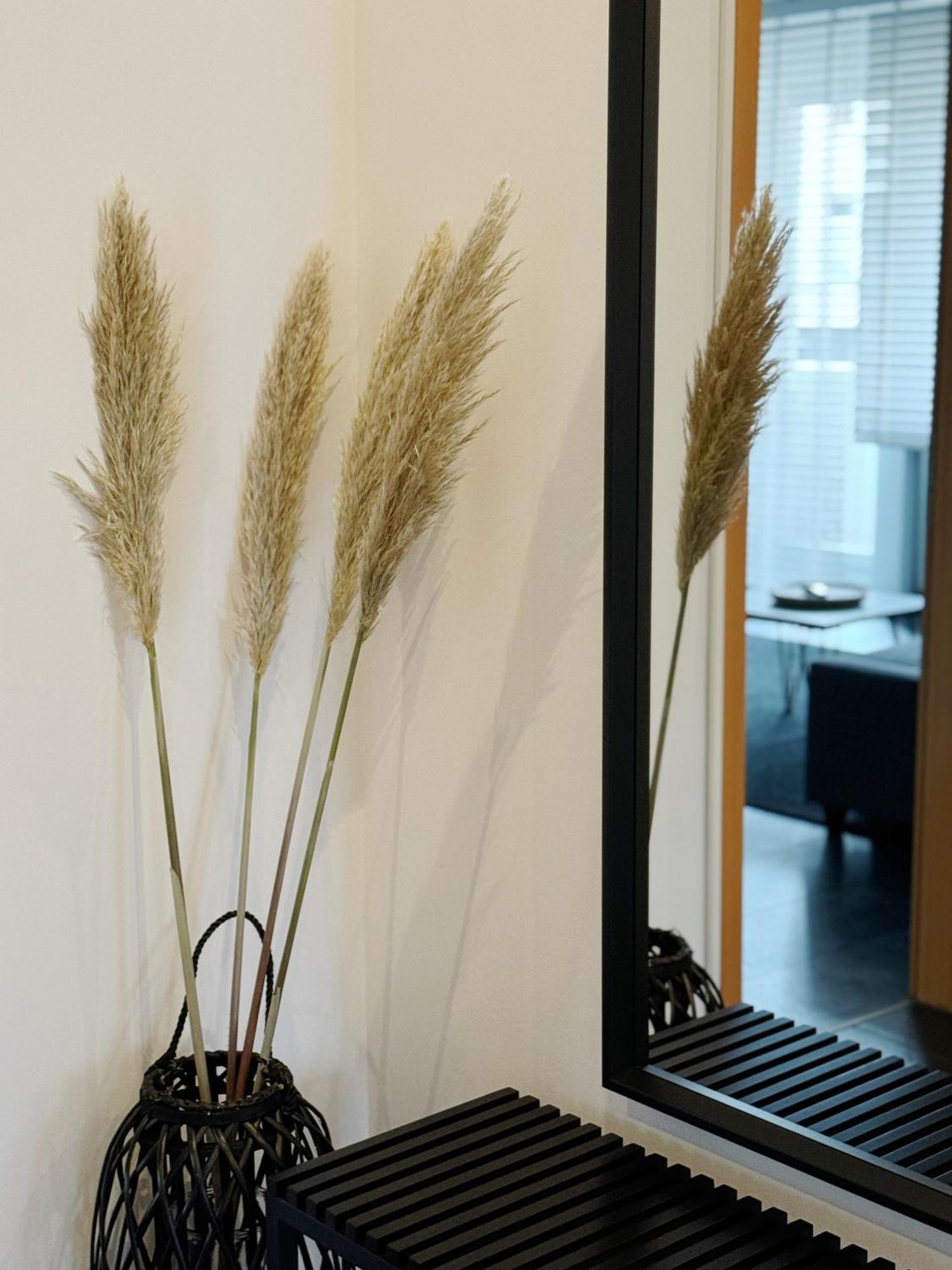 90M2 I Central I Netflix I Wifi I Free Parking I Lia Apartments Hannover Exteriör bild